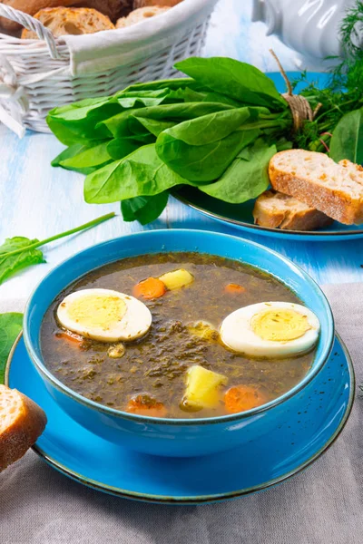 Соррельский суп с картошкой и яйцом — стоковое фото