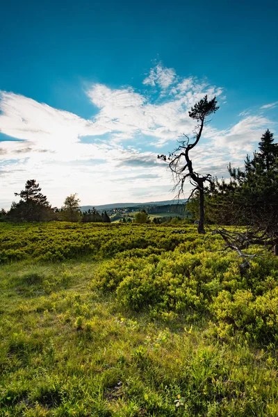 A german Beauty Rothaar Mountains — Stock Photo, Image