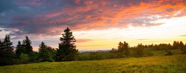 Bir Alman Güzel Rothaar Dağları