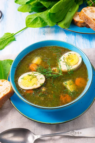 Sorrel soup with potatoes and egg — Stock Image Sorrel soup with potatoes and egg Royalty Free Stock Photos