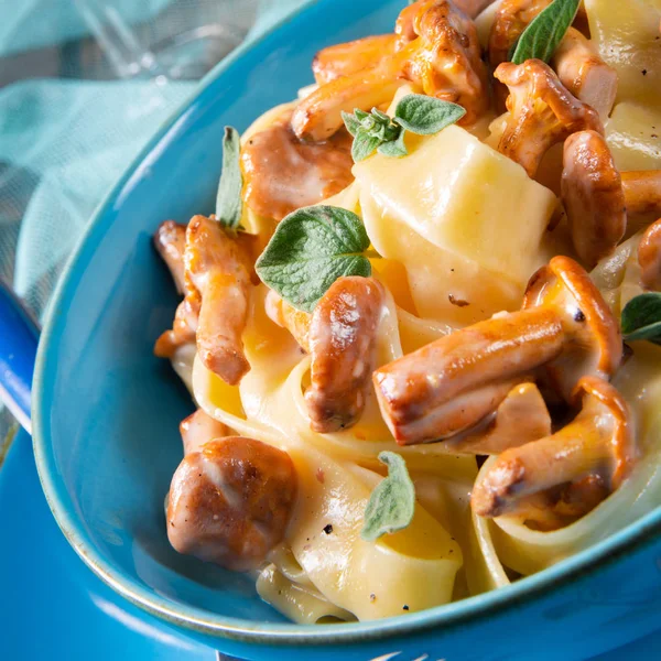 Pappardelle with cheese sauce and fresh chanterelles — Stock Photo, Image