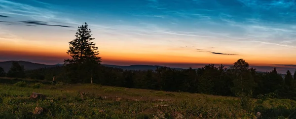 Німецький красунчик Ротаар — стокове фото