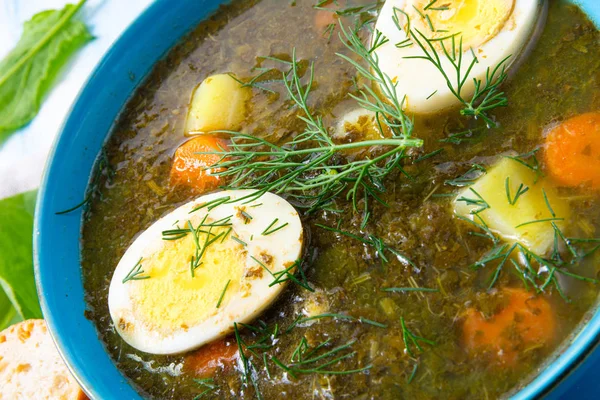 Sorrelová polévka s bramborami a vejcem — Stock fotografie