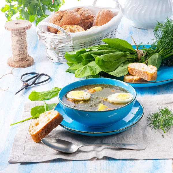 Zupa sorrelowa z ziemniakami i jajkiem — Zdjęcie stockowe