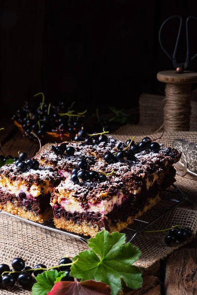 Польский торт из олова с фруктами и брызгами — стоковое фото