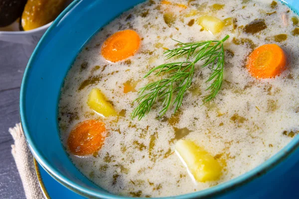 Polonya ekşi salatalık çorbası veya salatalık çorbası..