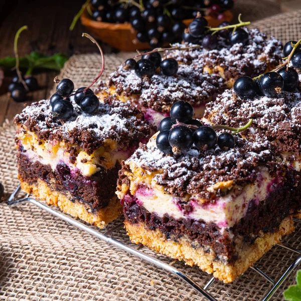 Pastel polaco de estaño con fruta y salpicaduras —  Fotos de Stock