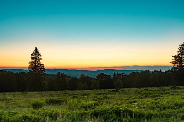 Bir Alman Güzel Rothaar Dağları