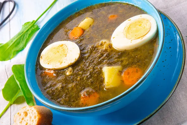 Sorrel soup with potatoes and egg — Stock Image Sorrel soup with potatoes and egg Royalty Free Stock Photos
