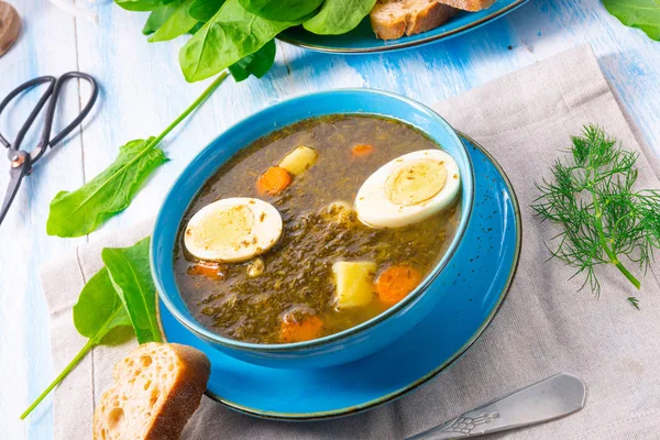 Sorrel soup with potatoes and egg — Stock Image Sorrel soup with potatoes and egg Royalty Free Stock Photos