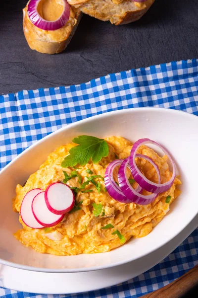 The perfect Bavarian obazda with radishes and onions — Stock Photo, Image