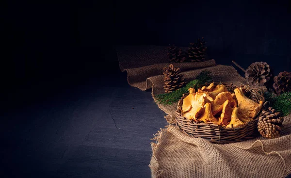 Skutečná chanterelle, požitek z lesa — Stock fotografie