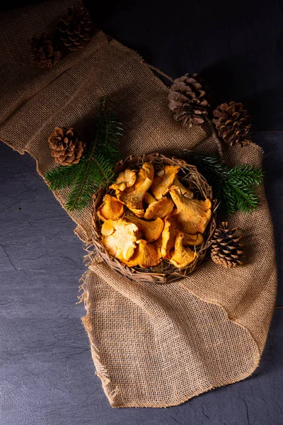 Gerçek Chanterelle, ormandan zevk alıyor.