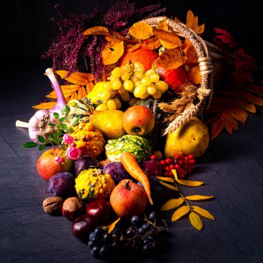 Güzel ve sonbahar kornucopiası