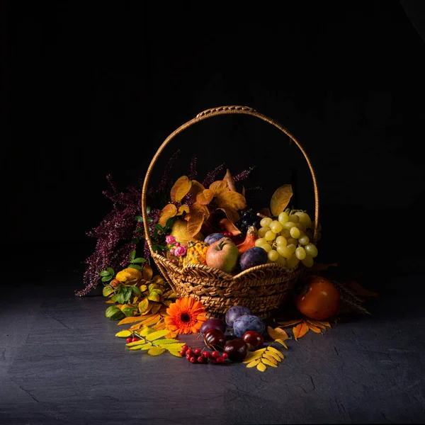 Herfstcornucopie in ronde mand — Stockfoto