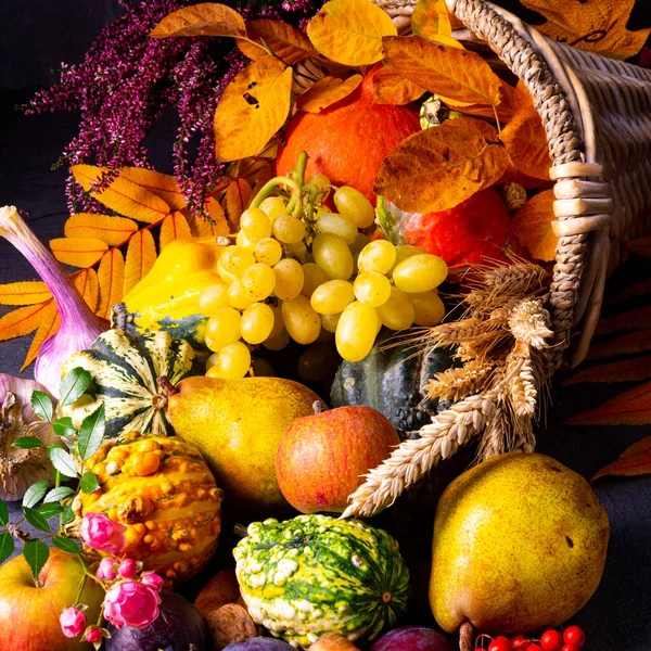 A gyönyörű és őszi cornucopia — Stock Fotó