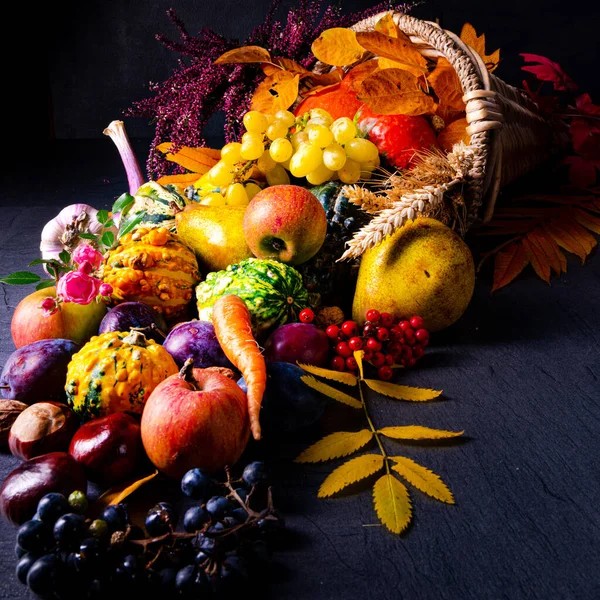 La bella e autunnale cornucopia — Foto Stock