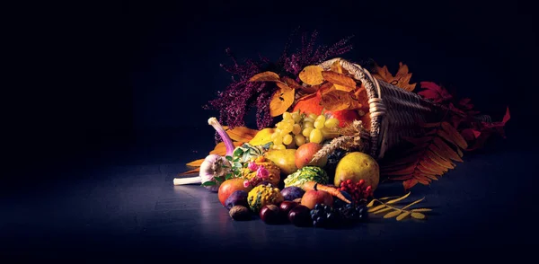 Den vackra och höstliga cornucopia — Stockfoto