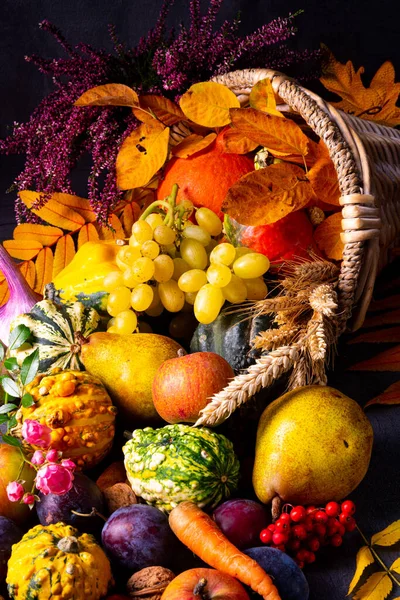 La bella e autunnale cornucopia — Foto Stock