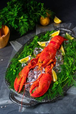 Buzda pişmiş ıstakoz.