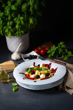 Mozzarella soslu rustik tortellini makarna salatası.