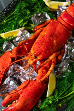 Buzda pişmiş ıstakoz.