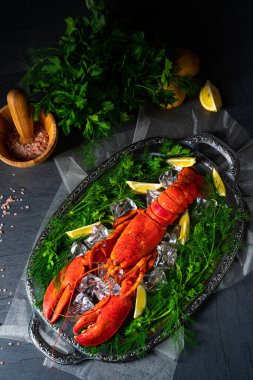 Buzda pişmiş ıstakoz.