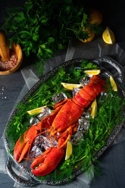 Buzda pişmiş ıstakoz.