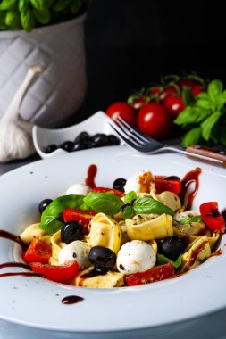 Mozzarella soslu rustik tortellini makarna salatası.