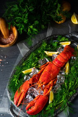 Buzda pişmiş ıstakoz.