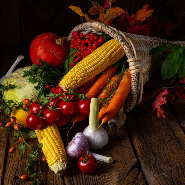 Gyönyörű Őszi Cornucopia Zöldségekkel — Stock Fotó