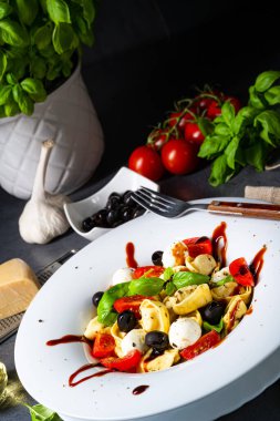 Mozzarella soslu rustik tortellini makarna salatası.