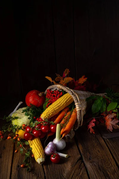 Gyönyörű Őszi Cornucopia Zöldségekkel — Stock Fotó