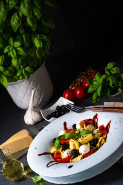 Mozzarella soslu rustik tortellini makarna salatası.