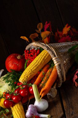 Sebzeli güzel sonbahar kornucopiası.