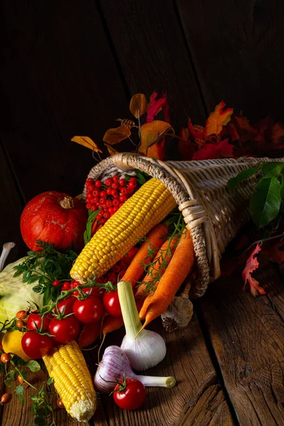Beautiful Autumnal Cornucopia Vegetables — Stock Photo, Image