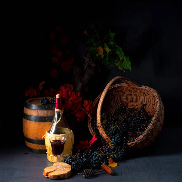 Uvas Cesta Con Hojas Vino Árboles — Foto de Stock