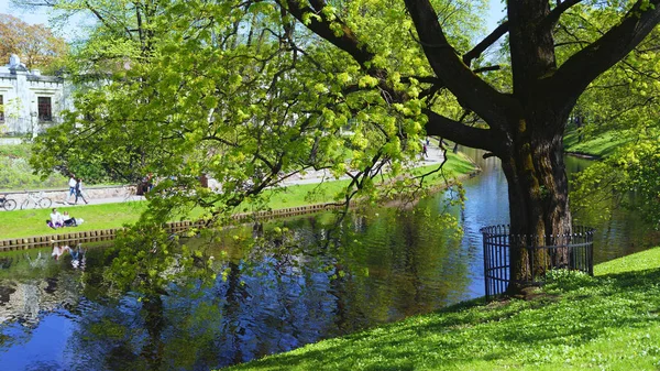 Våren i stadsparken med en kanal — Stockfoto