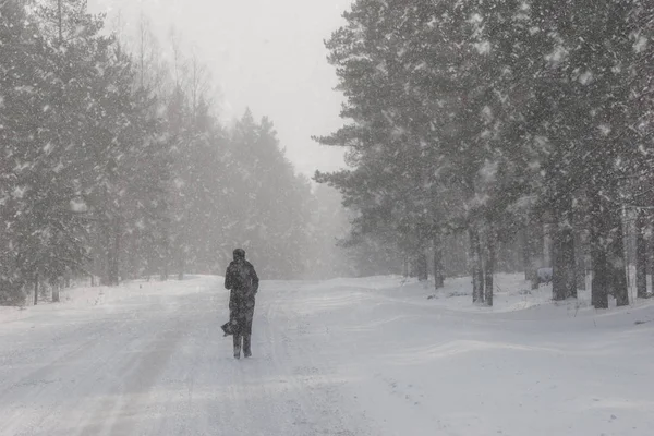 Een man loopt op een weg in het bos in de winter — Stockfoto