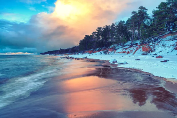 Západ slunce na pláži s borovice Baltic — Stock fotografie