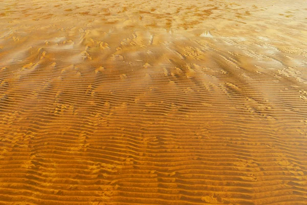 Песчаный пляж во время отлива осенью — стоковое фото