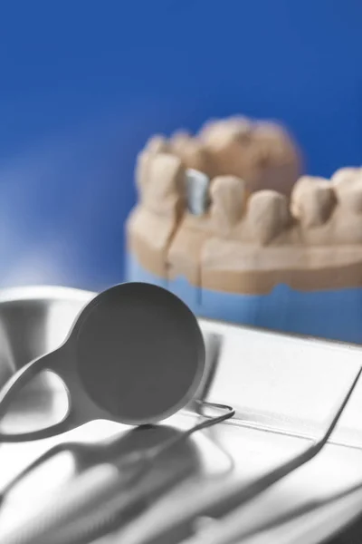 Dental prosthesis with tools