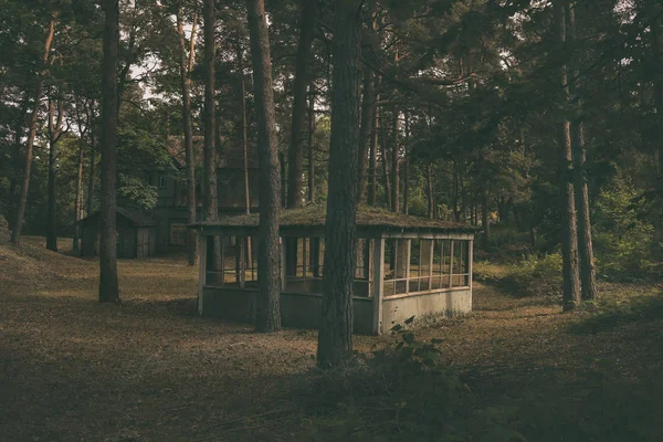 Terk Edilmiş Ahşap Iki Katlı Çam Karanlık Ormanın Içinde Boş — Stok fotoğraf