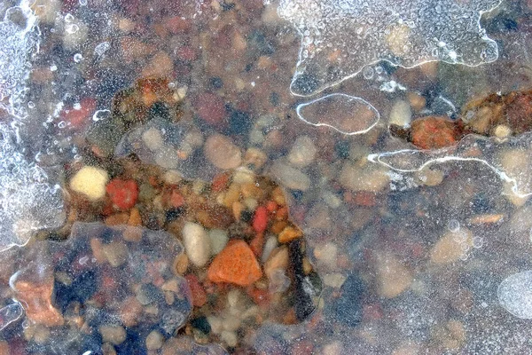 Pedras Costa Sob Primeiro Gelo Transparente Fino Com Formas Bonitas — Fotografia de Stock