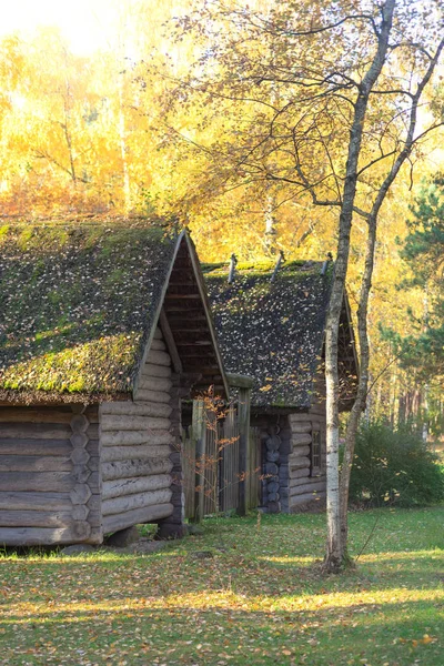 Ormandaki sonbaharda iki ahşap evler