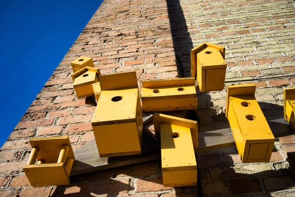 Gelbe Vogelhäuschen an der Wand im Frühling — Stockfoto