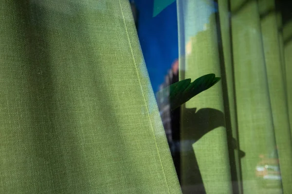 Pianta foglia dietro tende verdi — Foto Stock