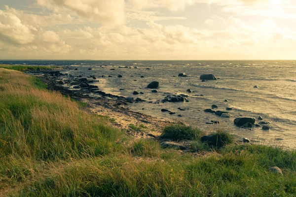 Costa del Mar Báltico en las islas de Estonia — Foto de Stock