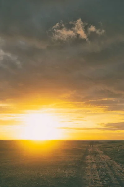 The road to the Baltic Sea at sunset in summer — Stock Photo, Image