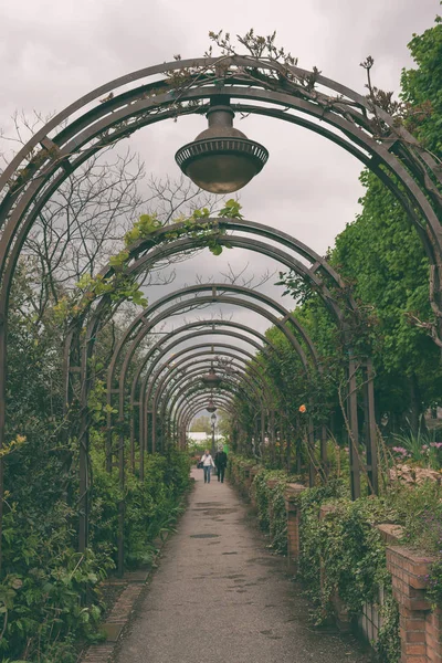 在巴黎的一个公园里挂着藤蔓的拱门 — 图库照片